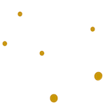 network graphic