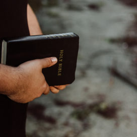hands holding a bible
