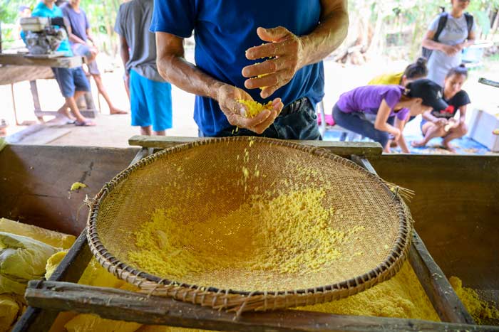 A man shows MBA participants in the Business on the Fronlines program how to process their native plant farinha