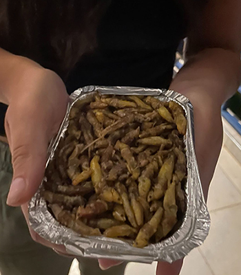 a tray of cooked grasshoppers